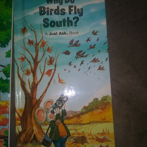 Children's Books - Picture 7 of 8